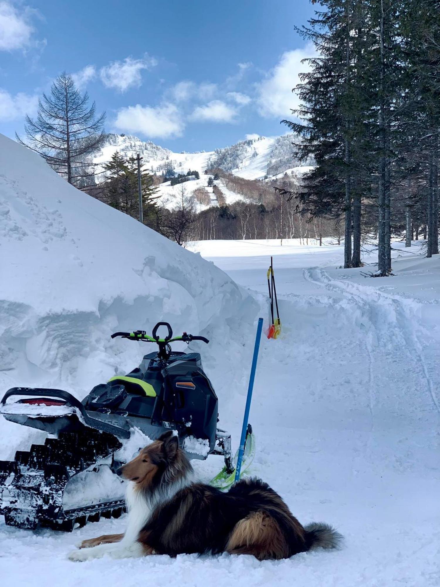 Sachinoyu Hotel Shiga Kogen Yamanouchi  Zewnętrze zdjęcie