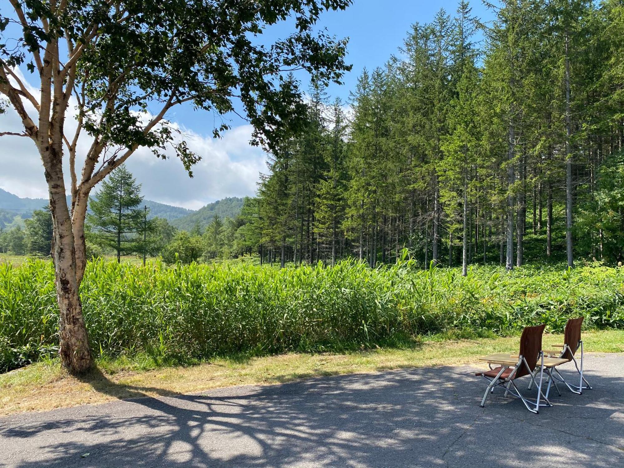Sachinoyu Hotel Shiga Kogen Yamanouchi  Zewnętrze zdjęcie